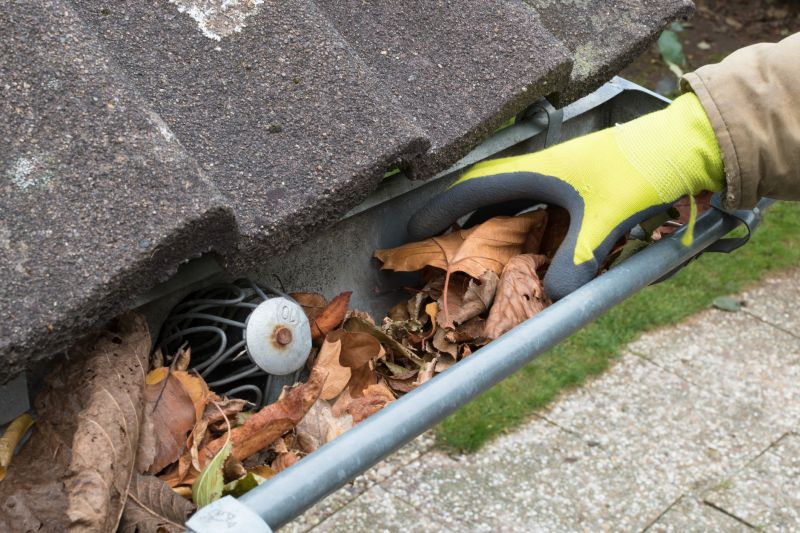 Clean Gutters in Reisterstown